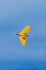 Modellflug_2016-AK3A034140-40.jpg