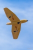 Modellflug_2016-AK3A034241-41.jpg