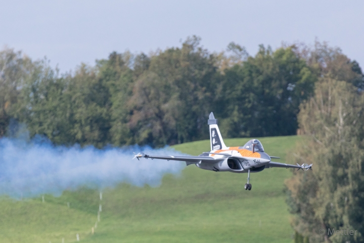 Flugtag-Hausen2018-EOS58392-50.jpg