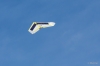 Solarflugzeug_Thor_2014-AK3A1809-03.jpg