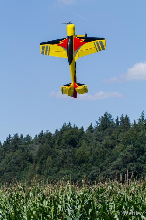 Modellflug_2013-IMG_3717-17.jpg
