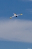 Modellflug_2012--19-8092.jpg