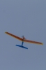 Modellflug-IMG_5561-47.jpg