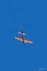 Modellflug-IMG_2942-33.jpg
