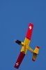 Modellflug-Duebi-2010-IMG_7557-7.jpg