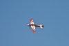 Modellflug-Duebi-2010-IMG_8208-50.jpg