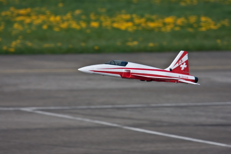 Modellflug-Duebi-2010-IMG_8506-9.jpg