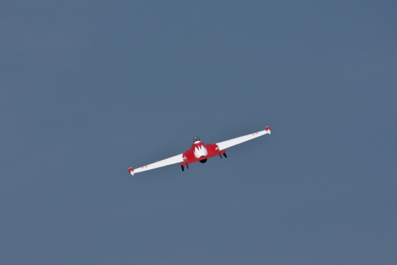 Modellflug-Duebi-2010-IMG_8743-114.jpg