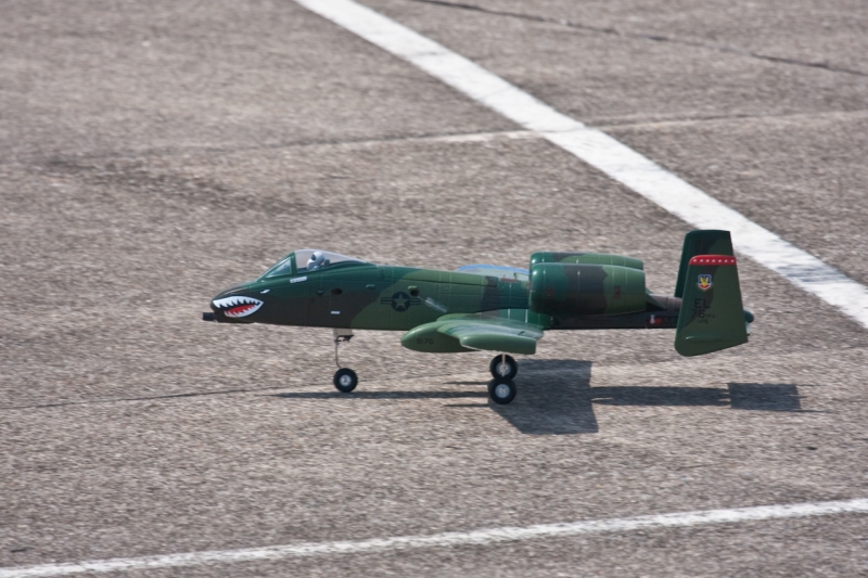 Modellflug-Duebi-2010-IMG_8951-194.jpg