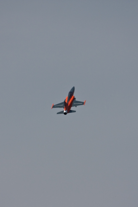 Modellflug-Duebi-2010-IMG_8976-203.jpg