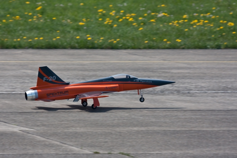 Modellflug-Duebi-2010-IMG_8986-204.jpg