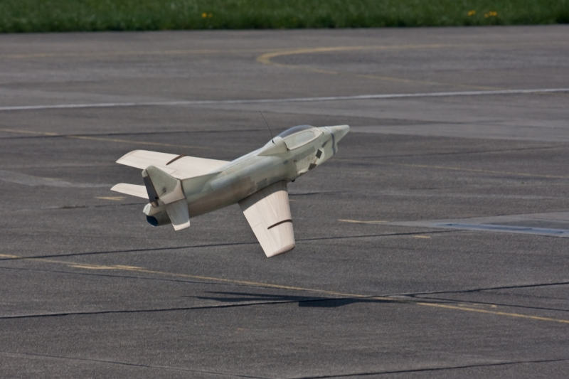 Modellflug-Duebi-2010-IMG_9016-215.jpg