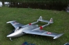 Modellflug-Duebi-2010-IMG_6972-3.jpg