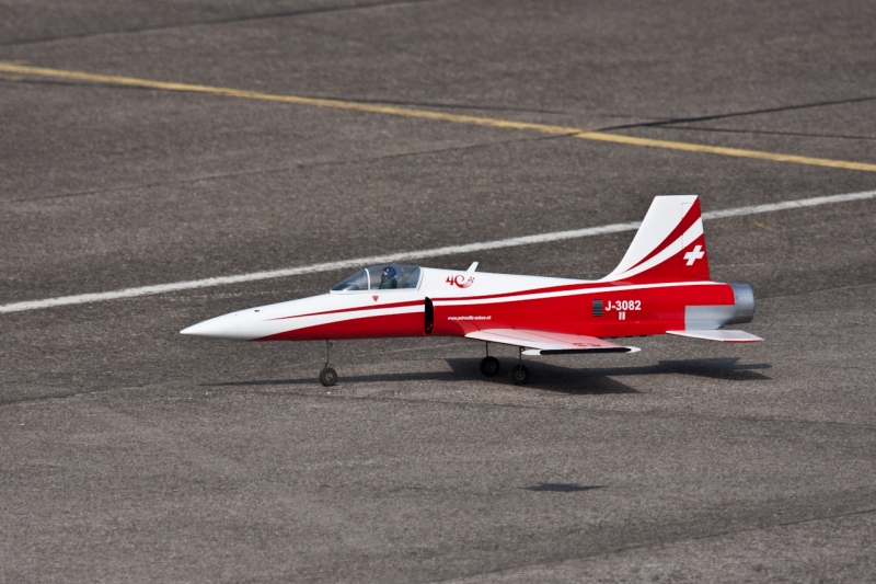 Modellflug-Duebi-2010-IMG_8541-4.jpg