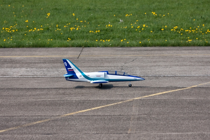 Modellflug-Duebi-2010-IMG_8616-12.jpg
