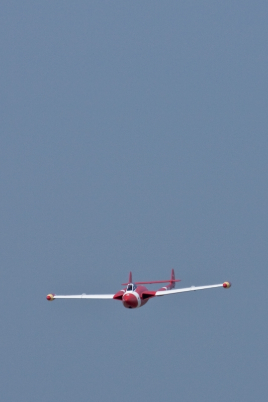 Modellflug-Duebi-2010-IMG_8763-24.jpg