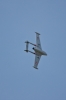 Modellflug-Duebi-2010-IMG_8568-7.jpg