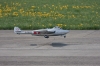 Modellflug-Duebi-2010-IMG_8574-8.jpg
