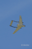 JETS_Duebi_Juni_2025_PI1_0600_6.jpg