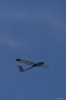 Modellflug_2011-5-4267.jpg