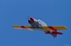 Modellflug_2011--16-3020.jpg