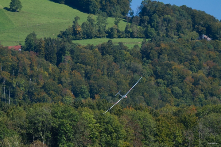 Modellflug-Hausen-2010-4085-9.jpg