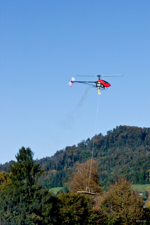 Modellflug-Hausen-2010-7542-10.jpg