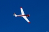 Modellflug-Hausen-2010-3619-13.jpg