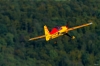 Modellflug-Hausen-2010-3774-3.jpg