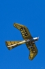 Modellflug-Hausen-2010-4241-105.jpg
