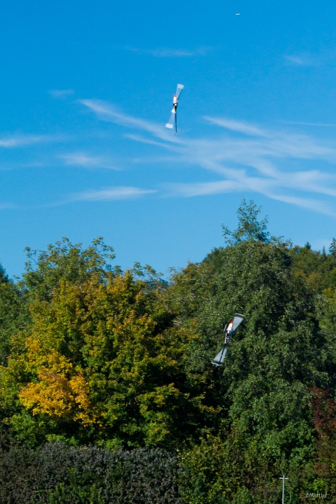 Modellflug-Hausen-2010-4254-32.jpg