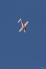 Modellflug_2011-1-7463.jpg