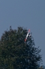 Modellflug_2011-1-6426.jpg