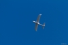 Modellflug_2011-9-5729.jpg