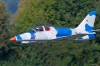 Modellflug_2011-16-8966.jpg