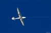 Modellflug_2011-4-6809.jpg