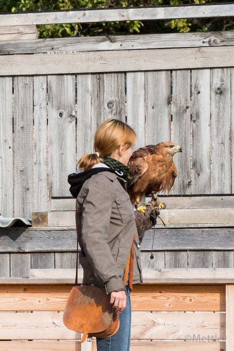 Reise_Oesterreich_Polen_Sept_2012-7211-15.jpg