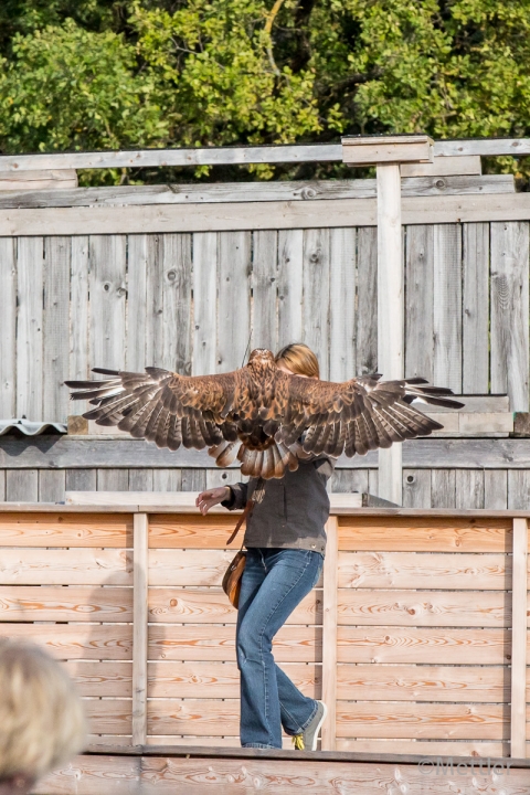 Reise_Oesterreich_Polen_Sept_2012-7220-20.jpg