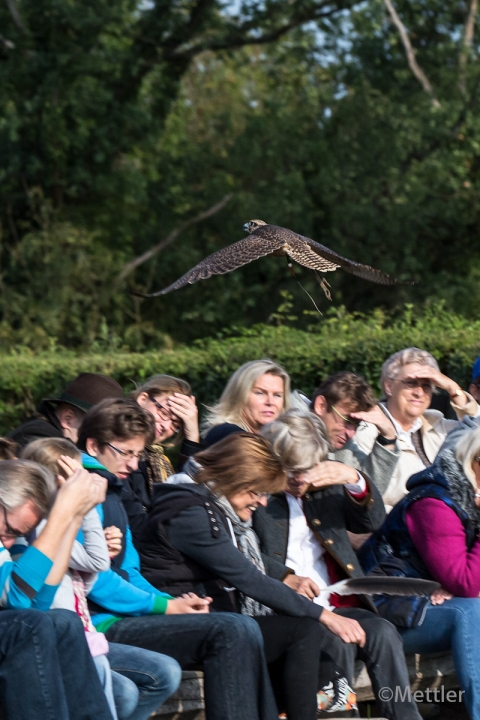 Reise_Oesterreich_Polen_Sept_2012-7257-35.jpg