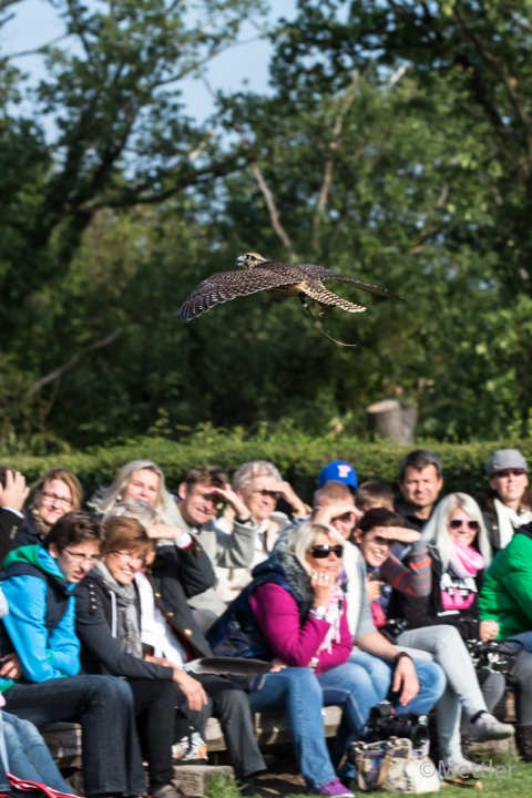 Reise_Oesterreich_Polen_Sept_2012-7267-37.jpg