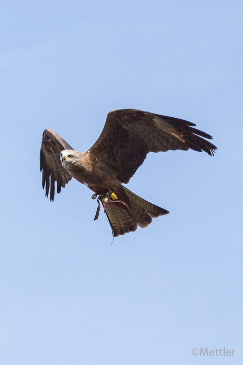 Reise_Oesterreich_Polen_Sept_2012-7312-48.jpg