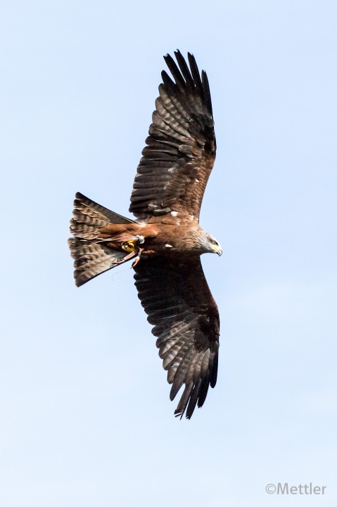 Reise_Oesterreich_Polen_Sept_2012-7314-49.jpg