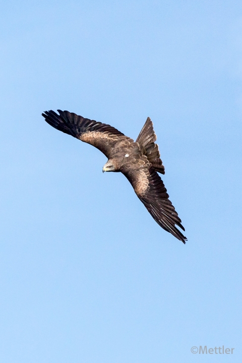 Reise_Oesterreich_Polen_Sept_2012-7316-51.jpg