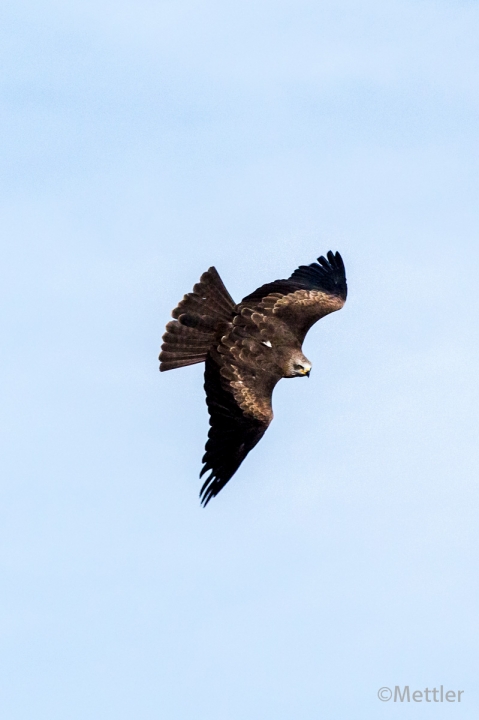 Reise_Oesterreich_Polen_Sept_2012-7320-52.jpg