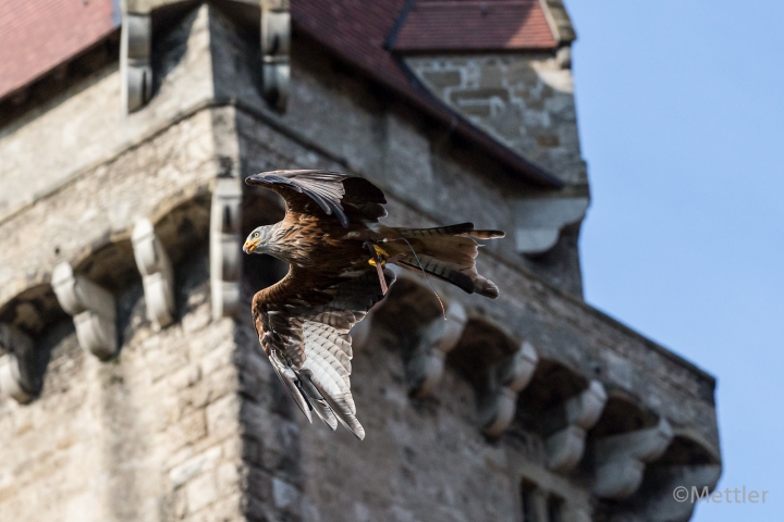 Reise_Oesterreich_Polen_Sept_2012-7326-54.jpg