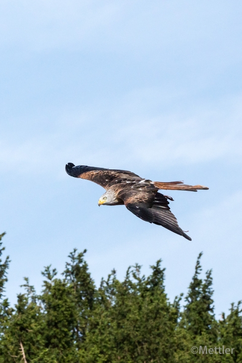 Reise_Oesterreich_Polen_Sept_2012-7330-56.jpg