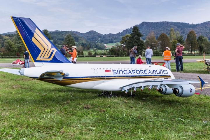Modellflug_2016-IMG_61906-06.jpg