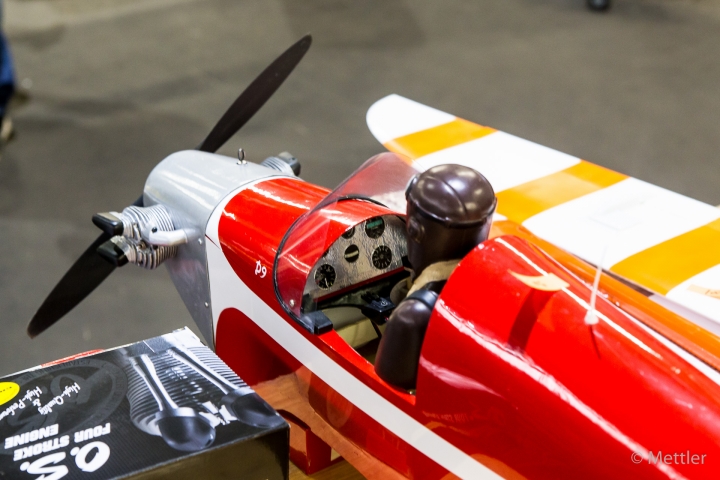 Modellflug_2016-IMG_652110-10.jpg