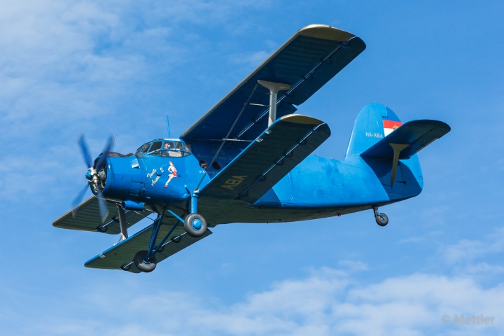 Flugtag_Hausen_2017-1039-13.jpg