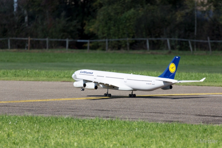 Flugtag_Hausen_2017-0787-33.jpg